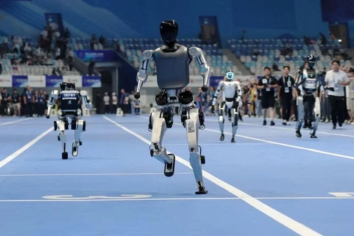 Tại Sân trượt băng tốc độ quốc gia Bắc Kinh, Đại hội Thể thao Robot Thế giới lần thứ 2 đã diễn ra với nhiều diễn biến bất ngờ. Ảnh: